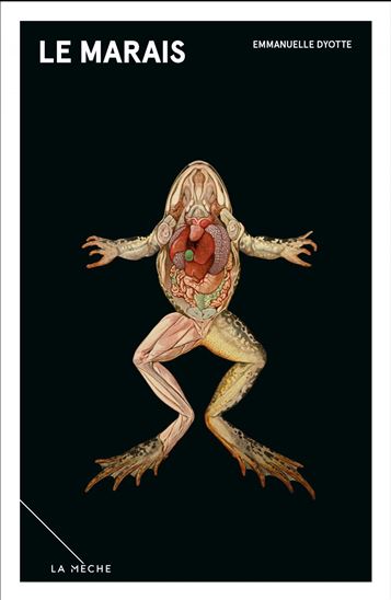 Le marais - Emmanuelle Dyotte