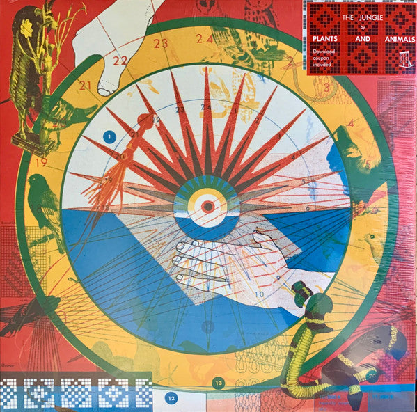 Plants and animals - The jungle