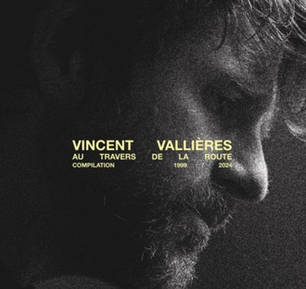 Vincent Vallières - Au travers de la route