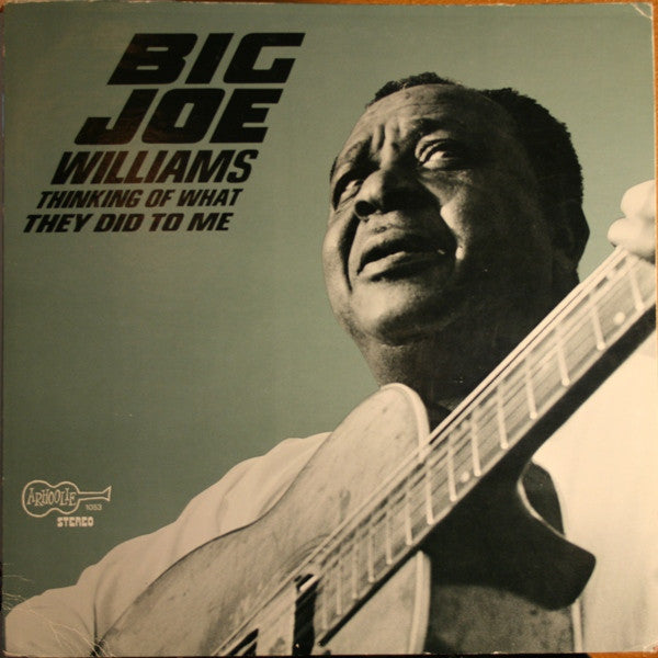 Big Joe Williams - Thinking of what they did to me