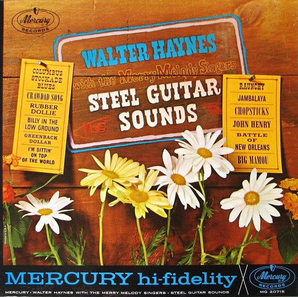 Walter Haynes - Steel guitar sounds