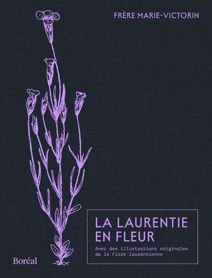 La laurentie en fleur - frère Marie-Victorin