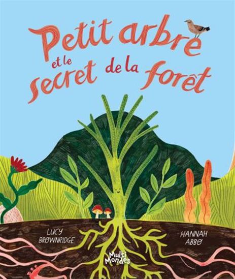Petit arbre et le secret de la forêt - Lucy Brownridge et Hannah Abbo