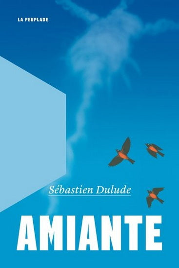 Amiante - Sébastien Dulude