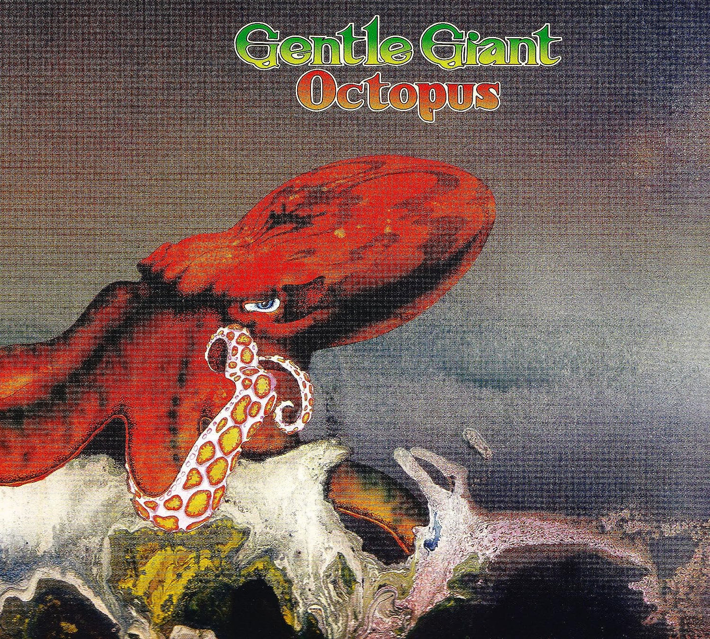 Gentle giant - Octopus