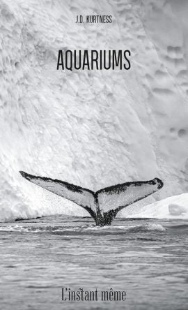 Aquariums -  J.D. Kurtis