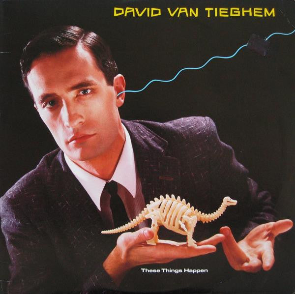 David Van Tieghem - These things happen