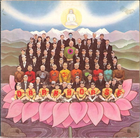 George Harrison - Dark horse