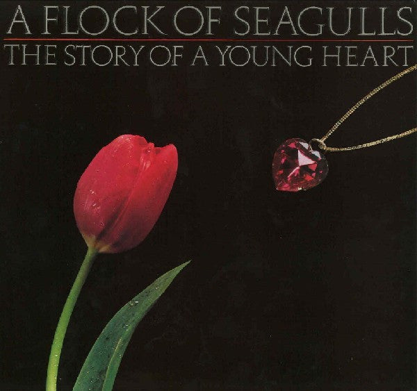 A flock of seagulls - The story of a young heart