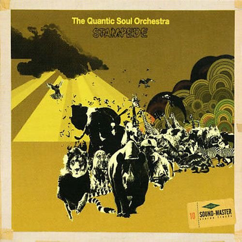 The Quantic soul orchestra - Stampede