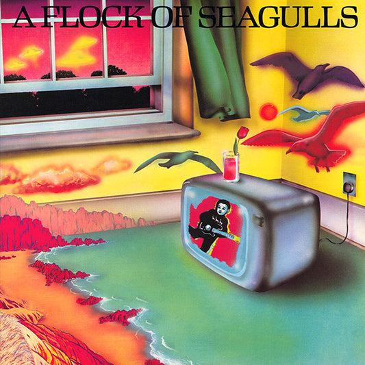 A flock of seagulls - A flock of seagulls