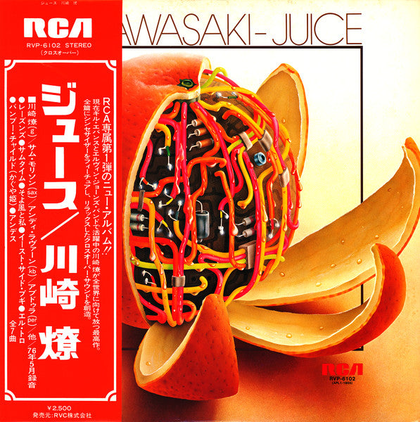 Ryo Kawasaki - Juice