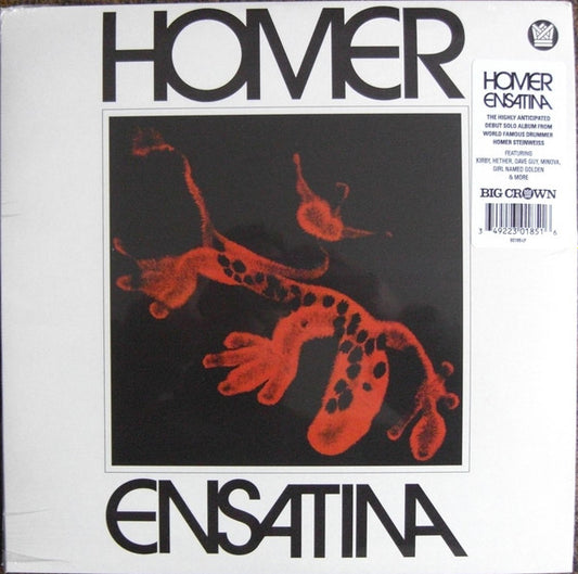Homer - Ensatina