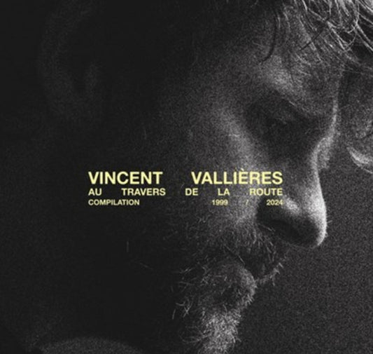 Vincent Vallières - Au travers de la route