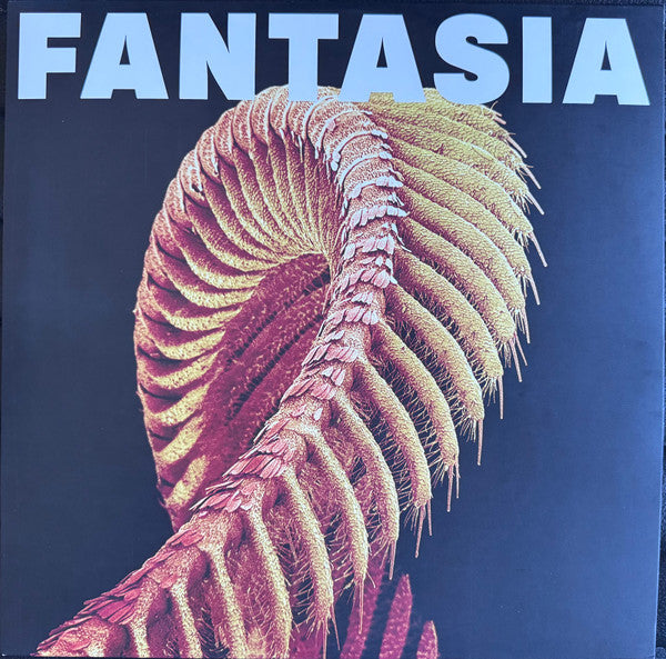 Slift - Fantasia
