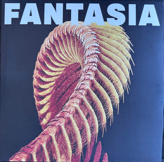 Slift - Fantasia