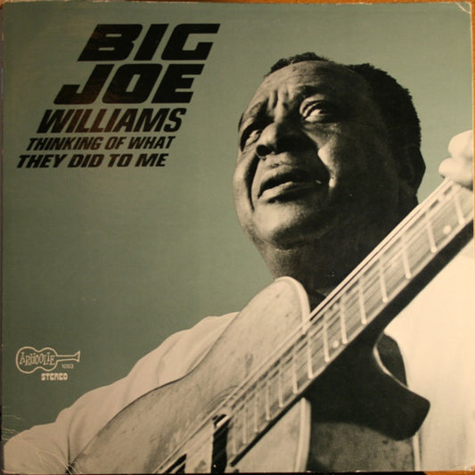 Big Joe Williams - Thinking of what they did to me