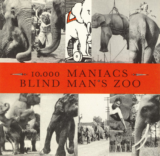 10,000 maniacs - Blind's man zoo