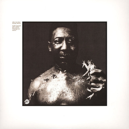 Muddy Waters - After the rain