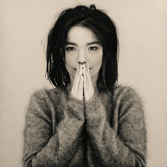 Bjork - Début