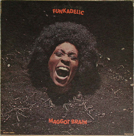 Funkadelic - Maggot Brain