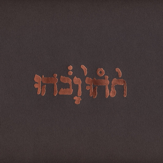 Gospeed you black emperor ! - Slow riot for new zero Kanada