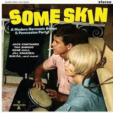 Some Skin - A modern Harmonic Bongo & Percussion Party !
