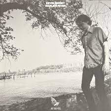 Kevin Morby-Harlem river