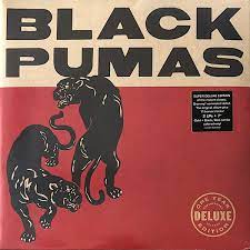 Black Pumas - Black pumas