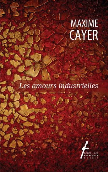 Les amours industrielles - Maxime Cayer